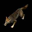 569f48305a737.jpg 狼.jpg